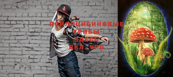 крисы Вязники
