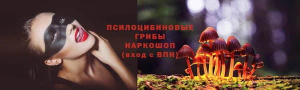 крисы Вязники