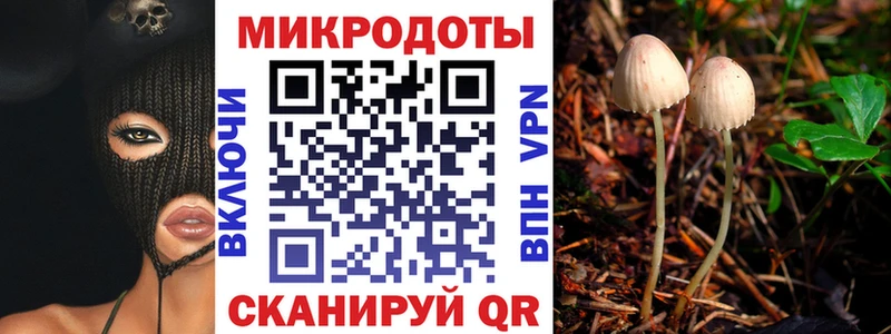 Купить где  Ярцево  Галлюциногенные грибы GOLDEN TEACHER 